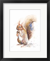 Framed Squirrel