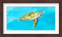 Framed Green Turtle on Light Blue