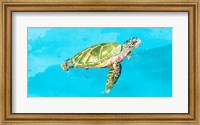 Framed Green Turtle on Light Blue