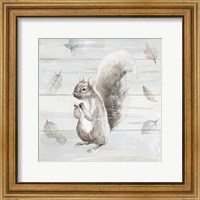 Framed Neutral Squirrel