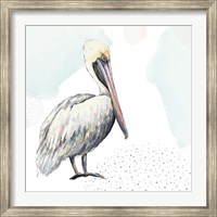 Framed Turquoise Pelican