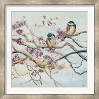 Framed Spring Bird on Branch
