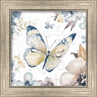 Framed 'Butterfly Beauty II' border=