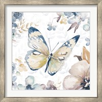 Framed Butterfly Beauty II