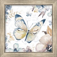 Framed 'Butterfly Beauty II' border=