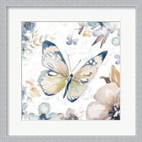 Framed Butterfly Beauty II
