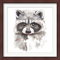 Framed Baby Raccoon