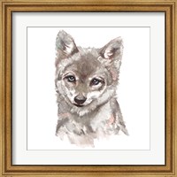 Framed Baby Wolf