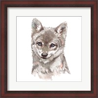 Framed Baby Wolf