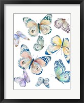 Framed Colorful Isolated Butterflies