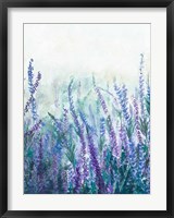 Framed Lavender Garden I