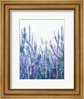 Framed Lavender Garden II