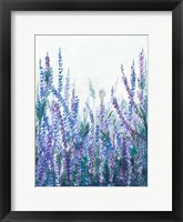 Framed Lavender Garden II