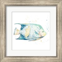 Framed Pescado Azul Square