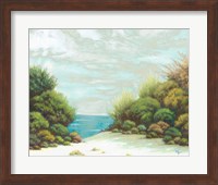 Framed Seashore II