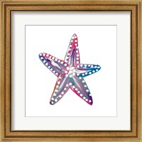 Framed Dotted Starfish I
