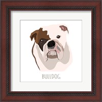 Framed Bull Dog