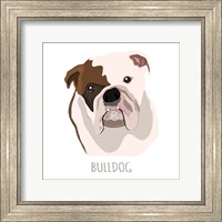 Framed Bull Dog