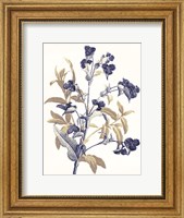 Framed Indigo Flowers