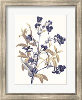 Framed Indigo Flowers