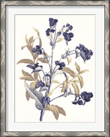 Framed Indigo Flowers