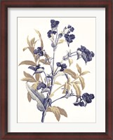 Framed Indigo Flowers