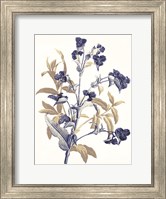 Framed Indigo Flowers