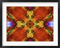 Framed Colorful Kaleidoscope 10