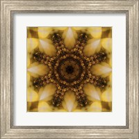 Framed Colorful Kaleidoscope 4