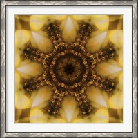 Framed Colorful Kaleidoscope 4