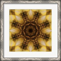 Framed Colorful Kaleidoscope 4