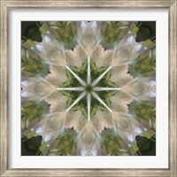 Framed Colorful Kaleidoscope 5