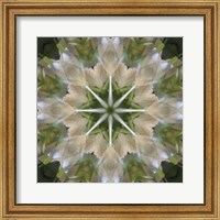 Framed Colorful Kaleidoscope 5