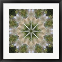 Framed Colorful Kaleidoscope 5