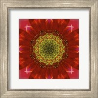 Framed Colorful Kaleidoscope 7