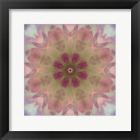 Framed Colorful Kaleidoscope 8