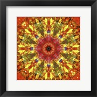 Framed Colorful Kaleidoscope 9