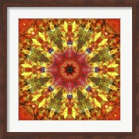 Framed Colorful Kaleidoscope 9