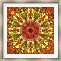 Framed Colorful Kaleidoscope 9