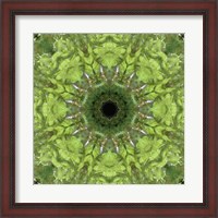Framed Colorful Kaleidoscope 11