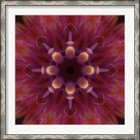 Framed Colorful Kaleidoscope 14