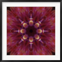 Framed Colorful Kaleidoscope 14