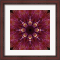 Framed Colorful Kaleidoscope 14