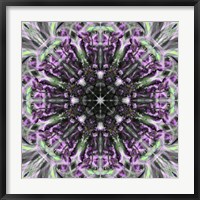 Framed Colorful Kaleidoscope 19