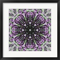 Framed Colorful Kaleidoscope 19