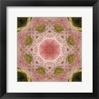 Framed Colorful Kaleidoscope 20