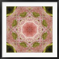 Framed Colorful Kaleidoscope 20