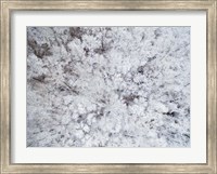 Framed Aerial View of Snow-Covered Trees, Marion County, Illinois