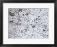 Framed Aerial View of Snow-Covered Trees, Marion County, Illinois