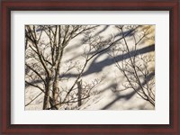 Framed Wall Detail, Nantucket Island